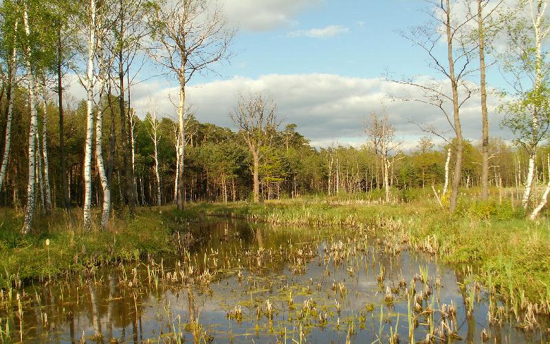 HD wallpaper - mountain view