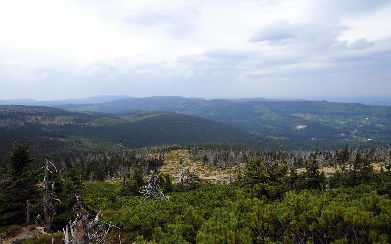 HD wallpaper - mountain view