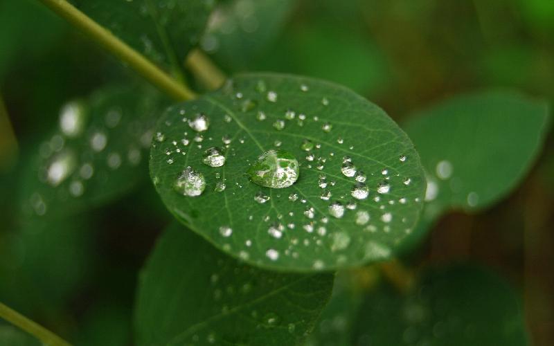 HD wallpaper - mountain view