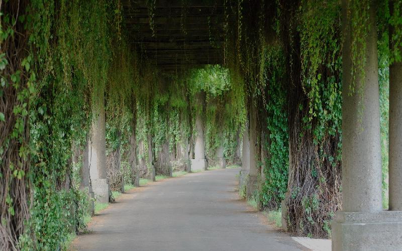 HD wallpaper - mountain view